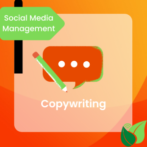 SMM Services - Copywriting